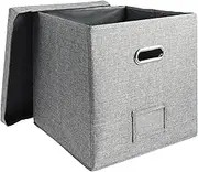 Vinyl Record Storage Box with Lid Practical Record Album Storage Large Capacity Record Storage Box Stackable Album Storage Organizer Box Hold UP 50 Albums for Moving 3×33×33cm (Gray, 1pc)