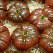 Tomato - Cherokee Purple seeds
