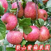 在飛比找PChome商店街優惠-福壽山蜜蘋果,8A9台斤一箱-單果4.1兩-4.8兩-梨山蜜