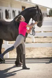 FITS Free Flex Full Seat Breech