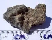 11.5 grams as found individual Amgala 001 Martian Shergottite Mars Meteorite COA