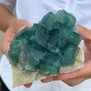 1.6lb Natural Green cube FLUORITE Quartz Crystal Cluster Mineral Specimen