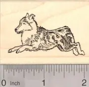 Shetland Sheepdog Rubber Stamp, Sheltie Dog H20501 WM