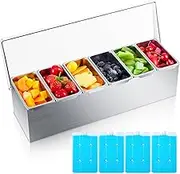 Boao Stainless Steel Condiment Dispenser with Lid and Bottom, 6 Slot Stainless Steel Condiment Tray, Ice Cooled Garnish Tray with 4 Ice Boxes for Food Party Outdoor BBQs