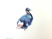 Monal, Birds, Watercolor artwork, Handmade, Original painting on paper