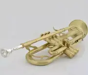 Custom Intermediate Bb Trumpet Brushed Gold Lacquer for Jazz Soloist Brass Band
