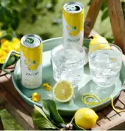 Zagori Sparkling Lemon Water 330 ml-6pack