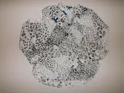 HILARY RADLEY Roll Tab Black White Blouse Animal Print L Large NWT Womens