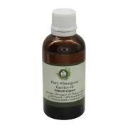 R V Essential Pure Wheatgerm Carrier Oil Triticum Vulgare Natural Cold Pressed