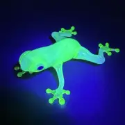Handblown Art Glass UV Reactive Frog Figurine Green Borosilicate Paperweight