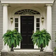 Tropical Artificial Persian Leaves 28 Leaves Fern Leaves Fake Plants Hotel
