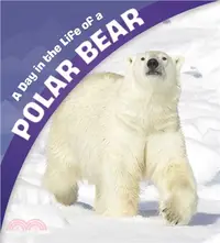 在飛比找三民網路書店優惠-A Day in the Life of a Polar B