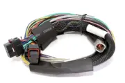 HALTECH Elite 2500 & 2500 T Basic UniversalWire-in Harness HT-141302