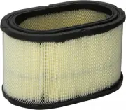 Cummins Onan 140-2897 Air Filter