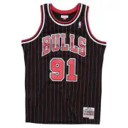 Mitchell & Ness Chicago Bulls Alternate 1995-96 Dennis Rodman Swingman Jersey