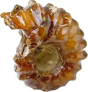 GARVALON Snail Desk Decoration Home Decor Car Decorations for Women Work Desk Decor Small Stone Decor Dining Room Table Decor Natural Conch Sea Shell Decorative Stone Crystal Stone