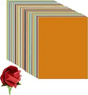 Vibrant Colored Printer Paper Assortment 230gsm in 10 Colors for Crafting Art Projects Invitations - Eco-Friendly Acid-Free Compatible with Inkjet and Laser Printers(A4 Size,Colorful,50 Sheet,230GSM)