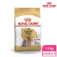 【ROYAL 法國皇家】約克夏成犬專用飼料 YSA 1.5KG(狗乾糧 狗飼料)