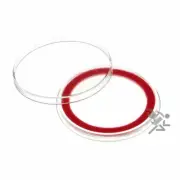 (20) Air-tite 39mm Red Velour Colored Ring Coin Holder Capsules for 1oz Silver