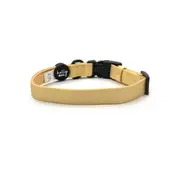 Holly & Co Mellow Yellow Small Yellow Stylish Dog Collar