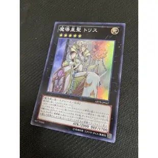 玩具主義) 遊戲王 802 ABYR-JP047 魔導皇聖 女帝忒莉絲 日文亮面