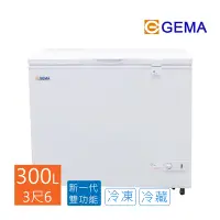 在飛比找Yahoo奇摩購物中心優惠-至鴻 GEMA 密閉式300L冷凍櫃 3尺6 冰櫃 BD-3