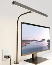 LED Desk Lamp for Office Home, Eye-Caring Desk Light with Adjustable Gooseneck,