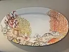Williams Sonoma Coral Reef Platter Shell, Conch 12" x 21" Oval New