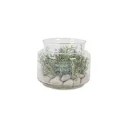 Maine & Crawford Bane 16x14cm Faux Succulent Terrarium Indoor Garden Home Decor