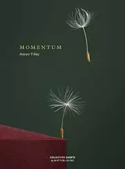 MOMENTUM By Aaron Tilley - Hardcover **BRAND NEW**
