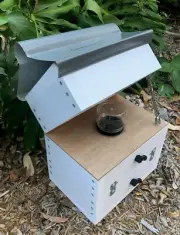 Stingless Australian Native Bees Roof Harvest Honey From Your Own Jar BeeHive