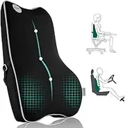 Lumbar Support Pillow,Pure Memory Foam Back Cushion Orthopedic Backrest with Breathable 3D Mesh for Car Seat,Office Chair,Computer Chair,Wheelchair and Recliner.Ergonomic Design for Back Pain Relief