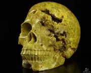 GEODE Huge 5.0" Ocean Jasper Carved Crystal Skull,Realistic, Crystal Healing
