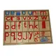 3-6歲蒙特梭利語文教具：大型活動英文字母（印刷體，母音藍字，子音紅字，木製，含盒）