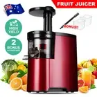 Slow Juicer Citrus Fruit Cold Press Extractor Vegetable Juice Masticating Filter