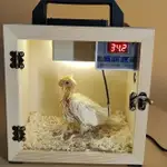 鸚鵡清倉手養寵物保溫箱便攜式保溫箱幼鳥保溫