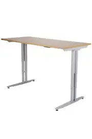 Arise Electric Height Adjustable Sit and Stand Desk