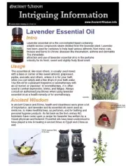 Patchouli Essential Oil Info