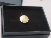 US Immigration & Customs Enforcement ICE lapel pin