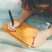 MOTHER: Hobonichi Capless Fountain Pen (MOTHER)