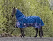 Caribu Alpine Gusset XL Detach-a-Neck Horse Rug 100g Navy Check - 4.9FT / Navy Check