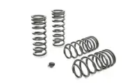 Eibach Pro-Kit for /Coupe SN95 (Exc. IRS + FOR 79-93 Ford Mustang/Cobra/Coupe FO (for: Ford)