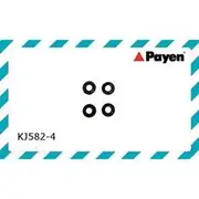 Payen Rocker Cover Gasket Bolt Seal Set - KJ5824