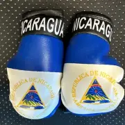 Nicaragua Flag Mini Gloves Boxing Car Mirror Rearview Hanging Auto Decorating