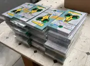 EK Success Cutter Bee Scissors Yellow Small Sharp Blades Precise Cut Lot of 40