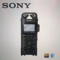 在飛比找蝦皮購物優惠-sony pcn-d10高音質數位錄音筆