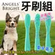 &#128227;此商品48小時內快速出貨&#128640;》美國Angels Bright天使牌》無毒矽膠牙刷組(3入)