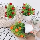 Pomegranate Chili Artificial Plants Bonsai Fruit Tree potted Orange Berries