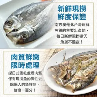 【享吃海鮮】黃金竹筴魚一夜干20片組(2片裝/330g±10%/包)