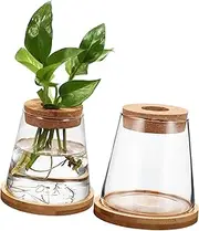 Alasum 2Pcs Glass Plant Propagation Station with Base Elegant Clear Vases for Hydroponic Plants Multi Functional Decorative Plant Holder for Home Office Decor